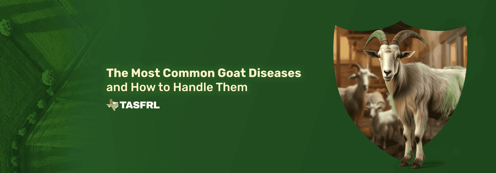 The Most Common Goat Diseases (and How to Handle Them)