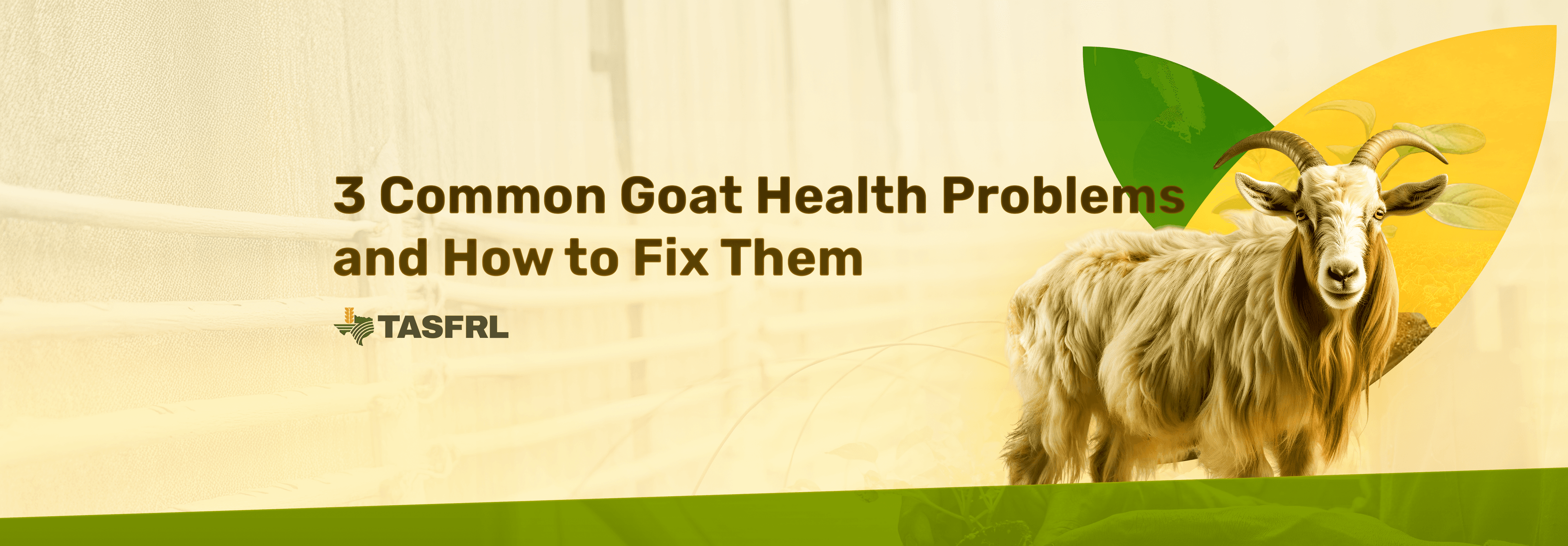 3 Common Goat Health Problems and How to Fix Them